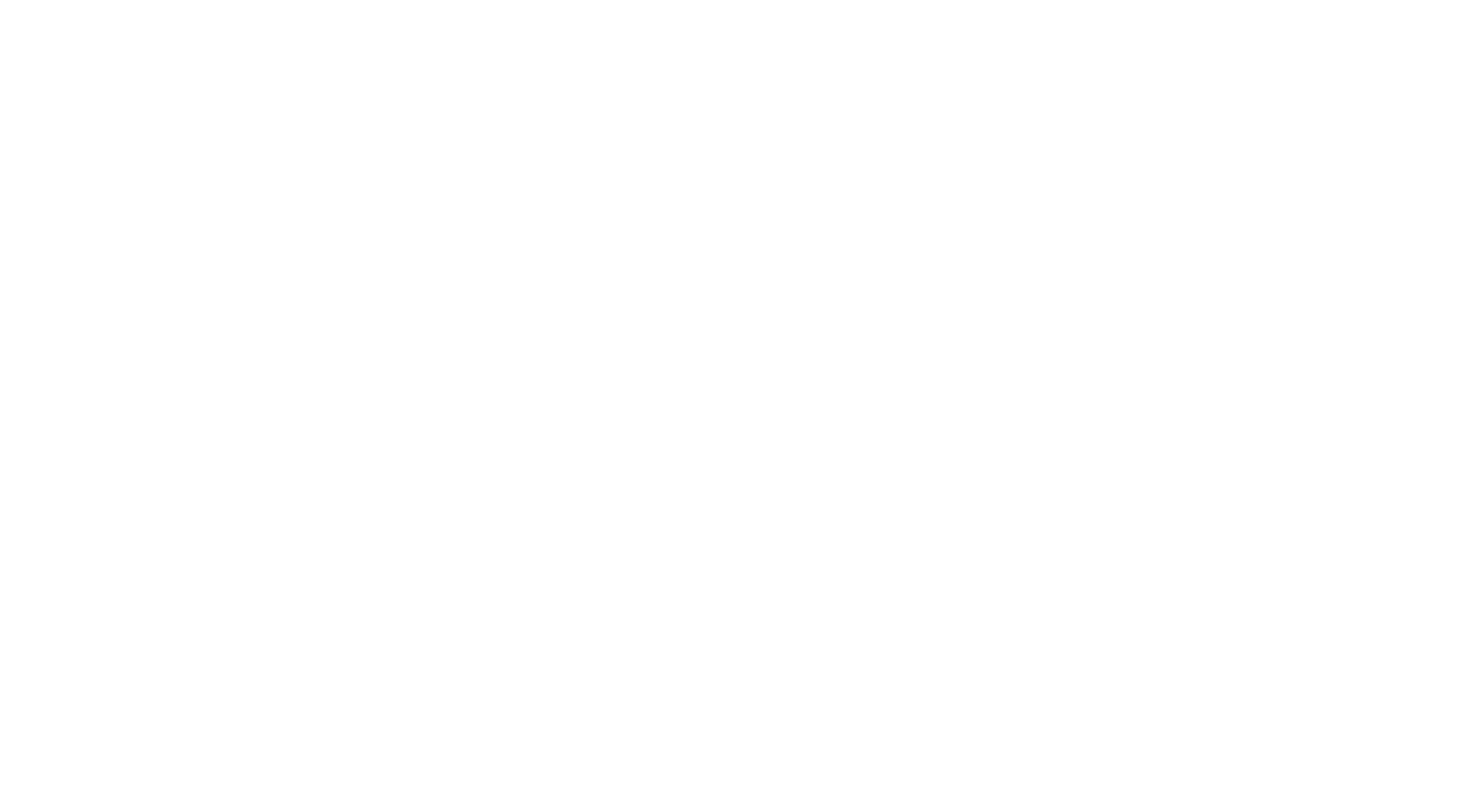 TISAX Result white